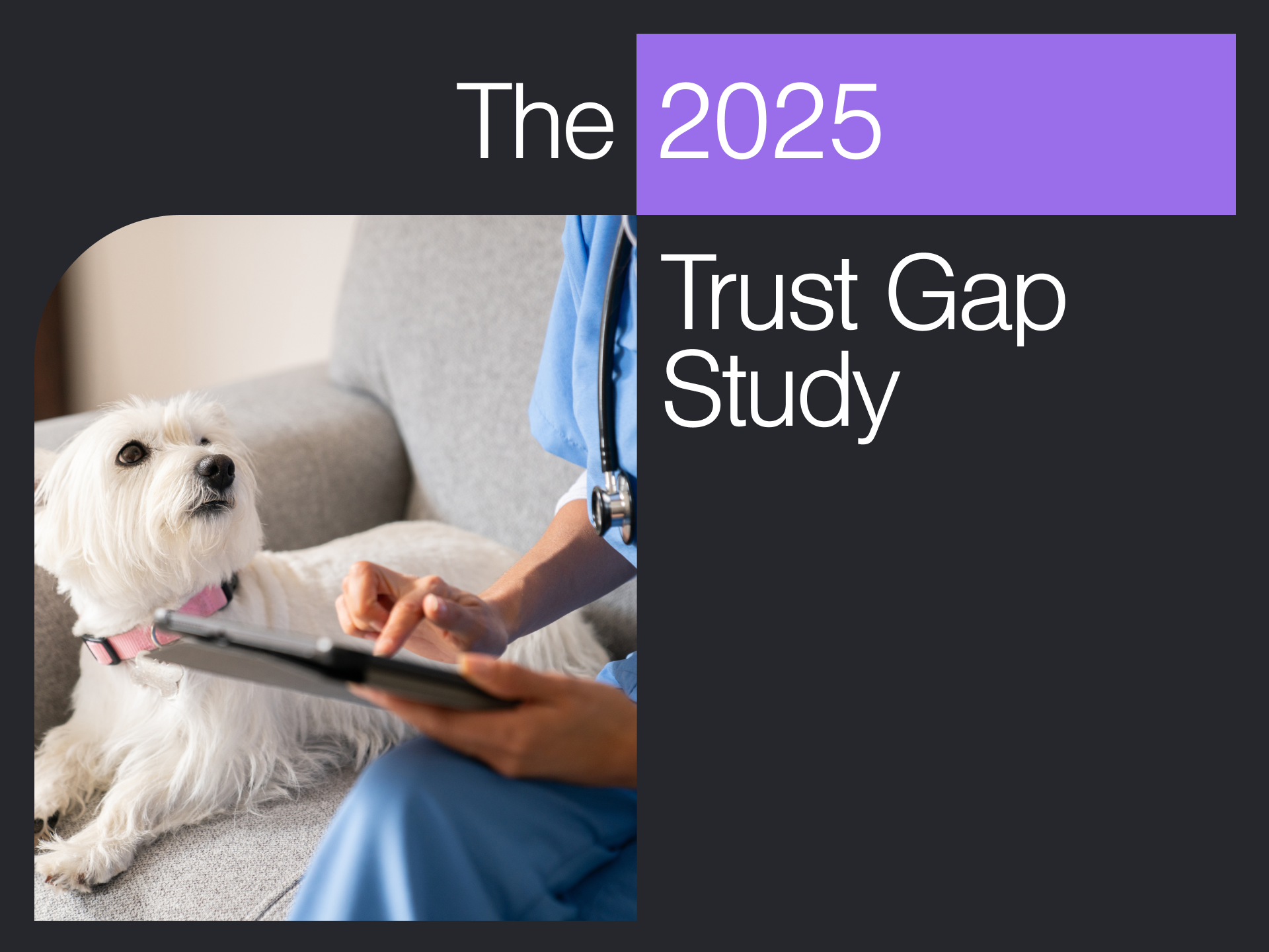 FWD People | 2025 Trust Gap Study